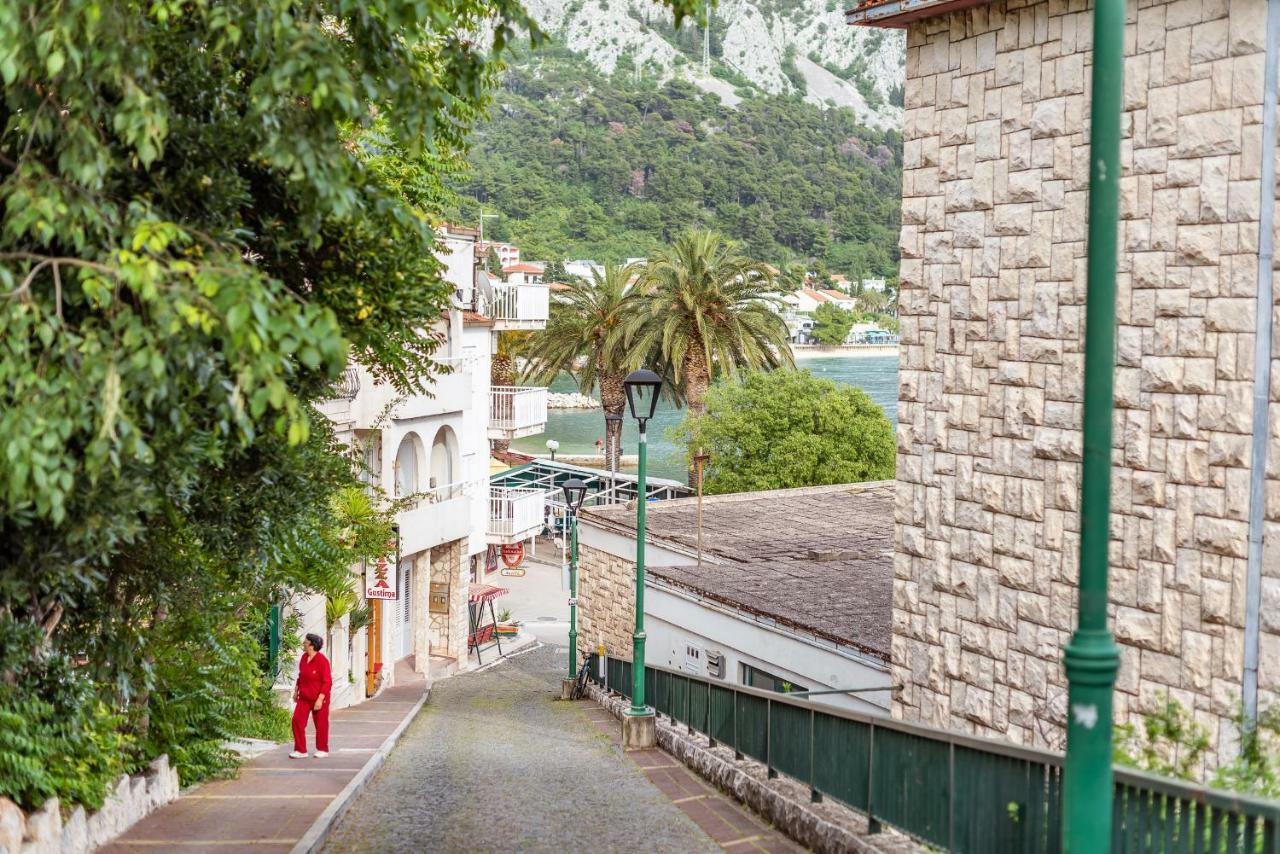 Sea Star Διαμέρισμα Gradac  Εξωτερικό φωτογραφία